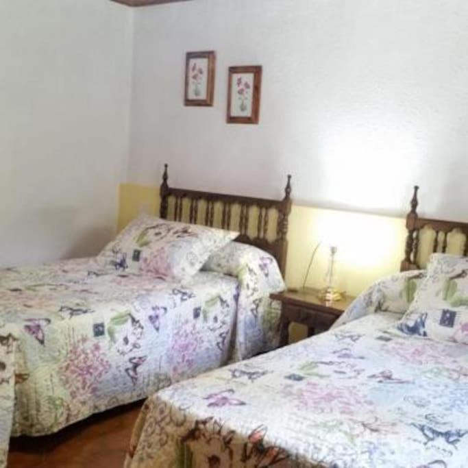 Casa Rural Barangua En El Pirineo Aragones Santa Cruz de la Serós المظهر الخارجي الصورة