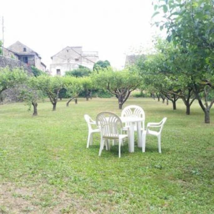 Casa Rural Barangua En El Pirineo Aragones Santa Cruz de la Serós المظهر الخارجي الصورة